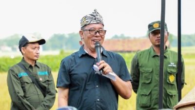 Fokus Pengembangan Komoditas Unggulan, Dispangtan Purwakarta Siapkan Ratusan Hektar Lahan Pertanian