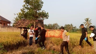 Pria Paruh Baya Ditemukan Tergeletak Tewas di Area Pesawahan