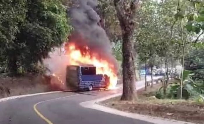 Kebakaran Bus MGI di Sukabumi Semua Awak Bus Selamat