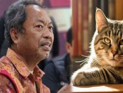 Frustrasi Menderita Diabetes, Pria asal Kota Semarang Sudah 10 Tahun Santap Daging Kucing