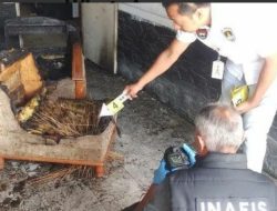 Alamak! Dibakar Api Cemburu Rumah Janda Dibakar Sang Kekasih