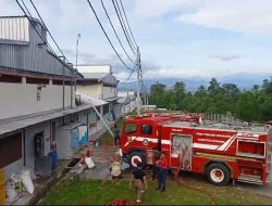 Diduga Korsleting Listrik, Kandang Ayam Milik PT Jaffa Comfeed 2 Terbakar Hebat