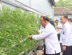 Dukung Asta Cita Prabowo-Gibran, Lapas Sukabumi Panen Tanaman Hidroponik Hasil Kreativitas Warga Binaan