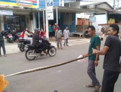 Gempar, Ular Phyton Besar Ditemukan di Genset Mini Market Indomaret Sagaranten