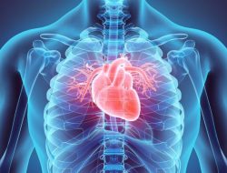 7 Kebiasaan Sepele yang Berdampak Buruk pada Kesehatan Jantung di Usia Muda