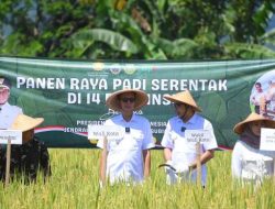Panen Raya Nasional 2025, Kota Sukabumi Tegaskan Komitmen pada Ketahanan Pangan