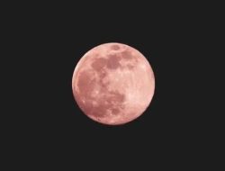 Fenomena Langit Indah: “Pink Moon” Sapa Sukabumi