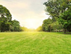 Udara Segar dan Alam Indah: Ini 5 Kota Paling Dingin di Jawa Timur