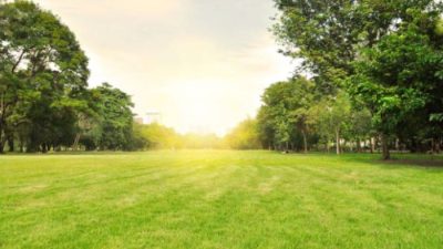 Udara Segar dan Alam Indah: Ini 5 Kota Paling Dingin di Jawa Timur