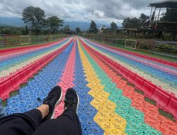 Menikmati Pesona Alam di Goalpara Tea Park, Wisata Baru Favorit di Sukabumi