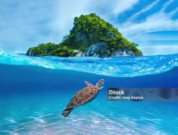 Penemuan Pulau Bawah Laut di Dekat Rio Grande: Cadangan Unsur Tanah Jarang untuk Masa Depan Teknologi Hijau