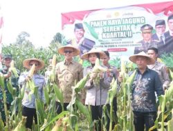 Panen Serentak Jagung Kuartal II, Sukabumi Ambil Peran Perkuat Ketahanan Pangan