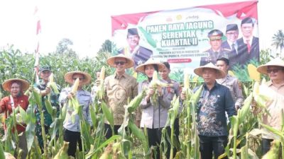 Panen Serentak Jagung Kuartal II, Sukabumi Ambil Peran Perkuat Ketahanan Pangan