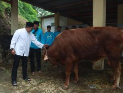 Polres Sukabumi Kurbankan 22 Ekor Hewan, Salurkan 1.809 Paket Daging Dibagikan
