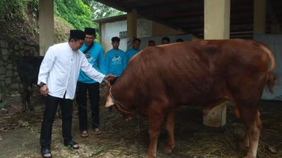 Polres Sukabumi Kurbankan 22 Ekor Hewan, Salurkan 1.809 Paket Daging Dibagikan