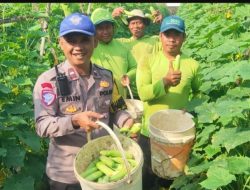 Kepolsek Cibadak Dorong Keamanan dan Kemandirian Ekonomi Lewat Pendekatan Humanis