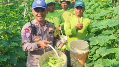 Kepolsek Cibadak Dorong Keamanan dan Kemandirian Ekonomi Lewat Pendekatan Humanis