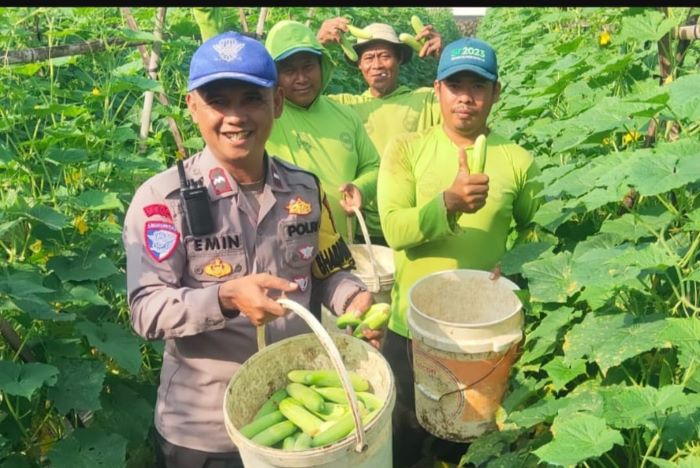 Kepolsek Cibadak Dorong Keamanan dan Kemandirian Ekonomi Lewat Pendekatan Humanis