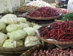 Harga Cabai di Sukabumi Meroket: Tembus Rp60 Ribu per Kg!