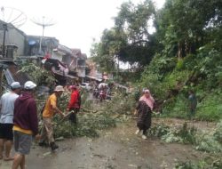 Pohon Juar Tumbang di Cidadap, Akses Baros–Cibuni Terputus dan Satu Rumah Rusak
