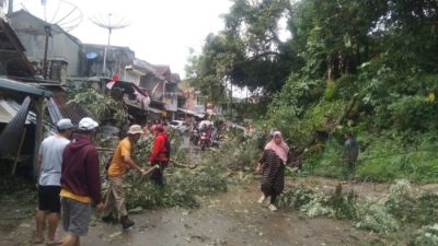 Pohon Juar Tumbang di Cidadap, Akses Baros–Cibuni Terputus dan Satu Rumah Rusak