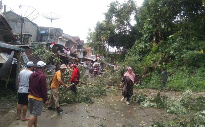 Pohon Juar Tumbang di Cidadap, Akses Baros–Cibuni Terputus dan Satu Rumah Rusak