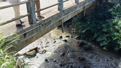 DLH Sukabumi: 23 Titik Sungai Tercemar Ringan, Kualitas Air Masih Aman