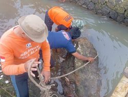 BPBD Sukabumi Turun Tangan Bersihkan Saluran Air Lingkar Selatan