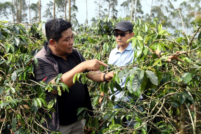 Dorong Pertumbuhan Ekonomi Daerah, Jamkrindo Jamin Ratusan Ribu UMKM Jawa Barat