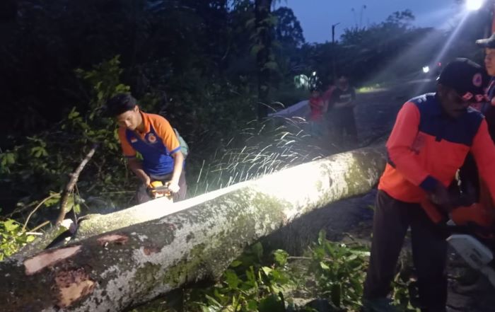 Hujan Deras dan Angin Kencang Luluhlantakkan Belasan Rumah di Sukabumi