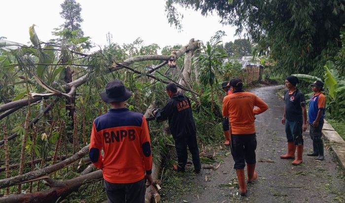 BMKG Peringatkan Cuaca Ekstrem, Warga Sukabumi Diimbau Siaga Bencana