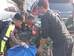 Kecelakaan Maut di Lingkar Selatan Sukabumi, Honda Beat vs Avanza, Satu Korban Tewas