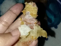 Program Makan Bergizi Gratis di Sukabumi Dikejutkan Temuan Plester Luka dalam Menu