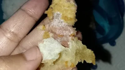 Program Makan Bergizi Gratis di Sukabumi Dikejutkan Temuan Plester Luka dalam Menu