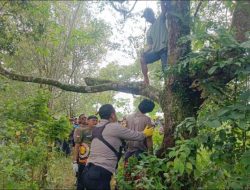Depresi dan Masalah Rumah Tangga Diduga Jadi Alasan Buruh Perkebunan Gantung Diri