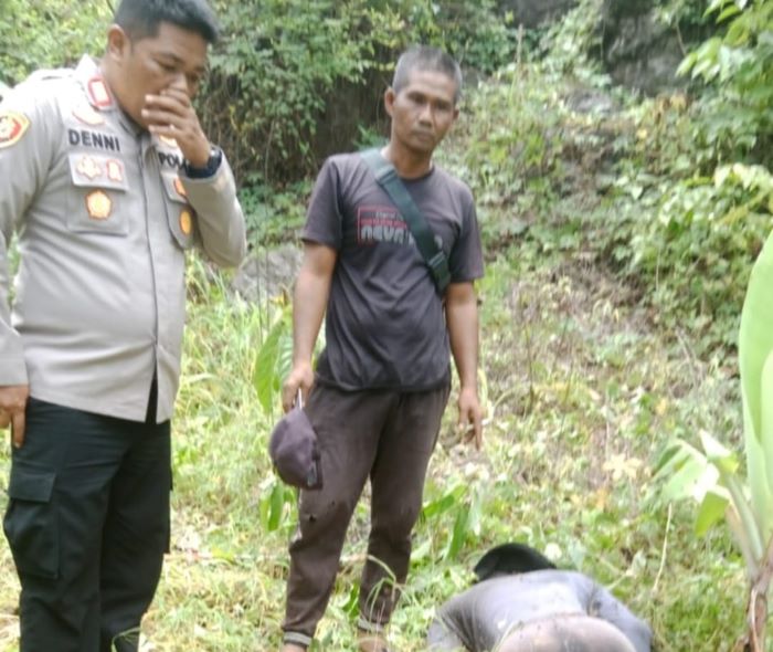 Petani Sukabumi Tewas Kesetrum Jebakan Babi Buatannya Sendiri