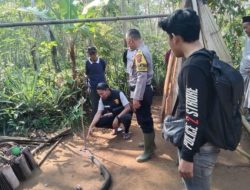 Lawan King Kobra Demi Lindungi Warga, Pria Cidadap Tewas Tragis