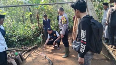 Lawan King Kobra Demi Lindungi Warga, Pria Cidadap Tewas Tragis