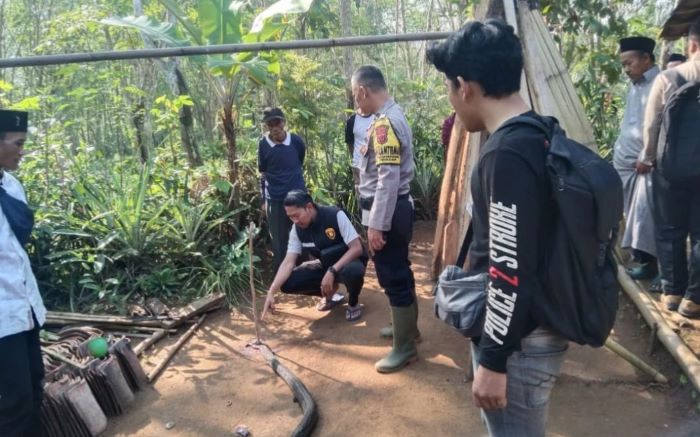 Lawan King Kobra Demi Lindungi Warga, Pria Cidadap Tewas Tragis