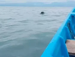 Korban Pemancing Hilang di Teluk Palabuhanratu Ditemukan pada Hari Keempat Pencarian