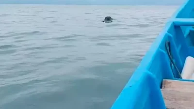 Korban Pemancing Hilang di Teluk Palabuhanratu Ditemukan pada Hari Keempat Pencarian