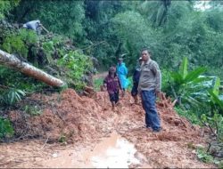Akses Jalan Tamanjaya Cigaru Tertutup Longsor, Kini Sudah Bisa Dilalui Roda Dua