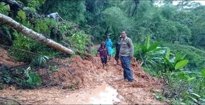Akses Jalan Tamanjaya–Cigaru Tertutup Longsor, Kini Sudah Bisa Dilalui Roda Dua