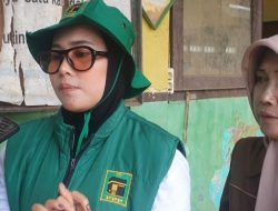 Tinjau Dampak Bencana, Dila Nurdian Soroti Kondisi SDN Cikahuripan Usai Banjir Bandang