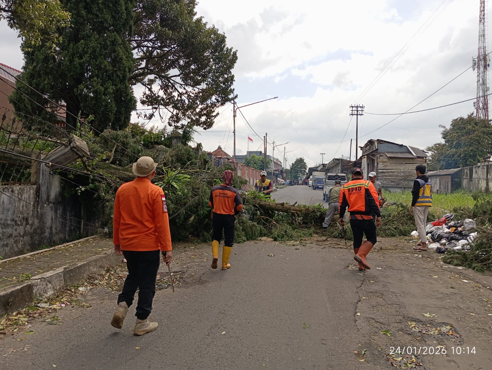 Sukabumi Dilanda Angin Kencang, BPBD Berjibaku Amankan Lokasi Pohon Tumbang