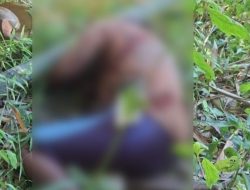 Geger! Warga Pabuaran Temukan Jasad Petani Lansia di Kebun, Kondisi Rumah Gelap Gulita Jadi Petunjuk