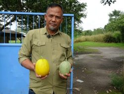 Dorong Kemandirian Ekonomi, Desa Sukajaya Luncurkan Inovasi Pemberdayaan Masyarakat