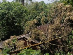 Intensitas Hujan Tinggi Disertai Angin Kencang Picu Kerusakan di Wilayah Cikembar Sore Ini