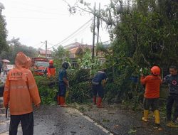 Hujan Deras Disertai Angin Kencang di Kota Sukabumi, Sejumlah Titik Jalan Dilaporkan Terhambat