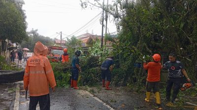 Hujan Deras Disertai Angin Kencang di Kota Sukabumi, Sejumlah Titik Jalan Dilaporkan Terhambat